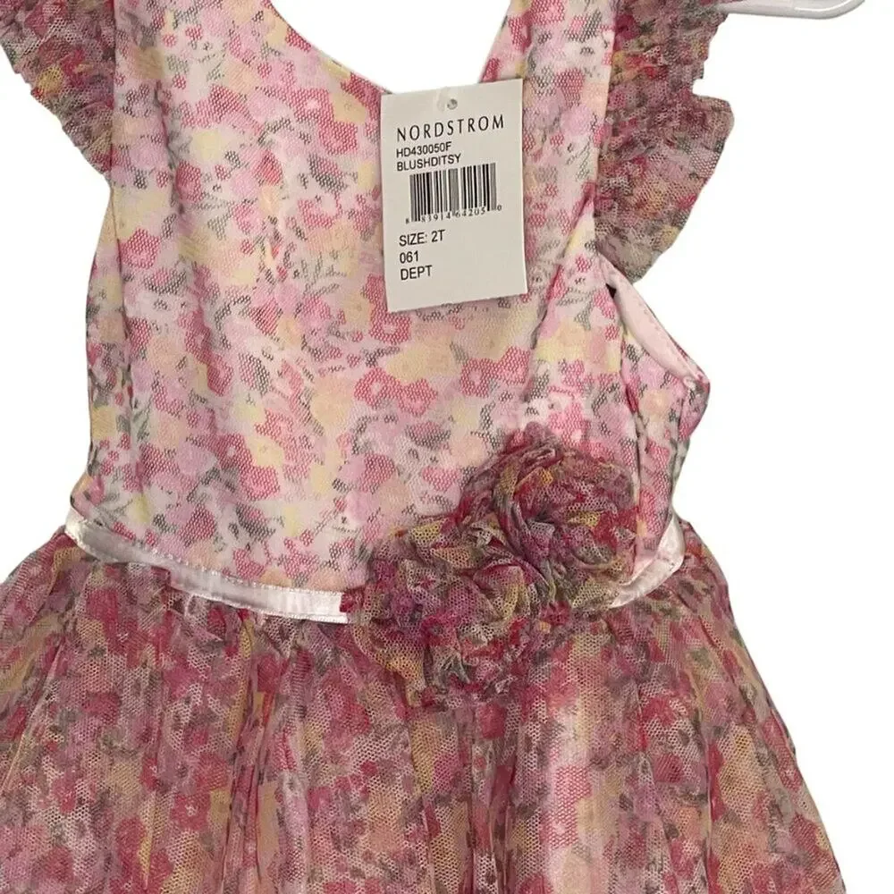 Zunie Girl 2T Dress Floral Tulle Formal Fairy Whimsical Garden Special Occasion